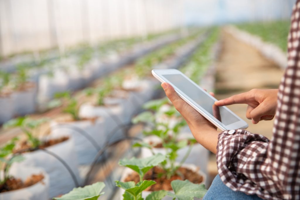 Une jeune femme contrôle ses plantations à m'aide de sa tablette tactile