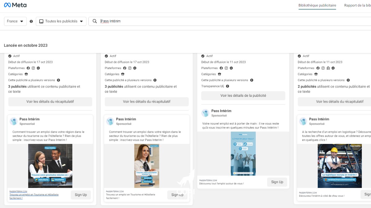 bibliotheque-meta-ads-pass-interim